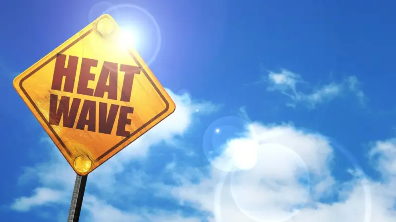 Beat Calgary's Extreme Heat!